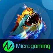 MicroGaming